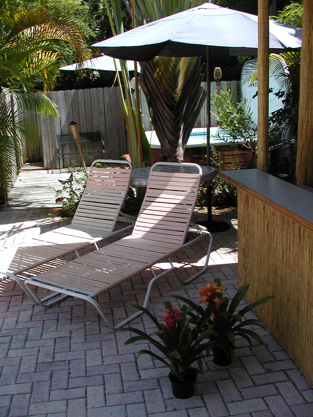 Jacuzzi and Tiki Bar